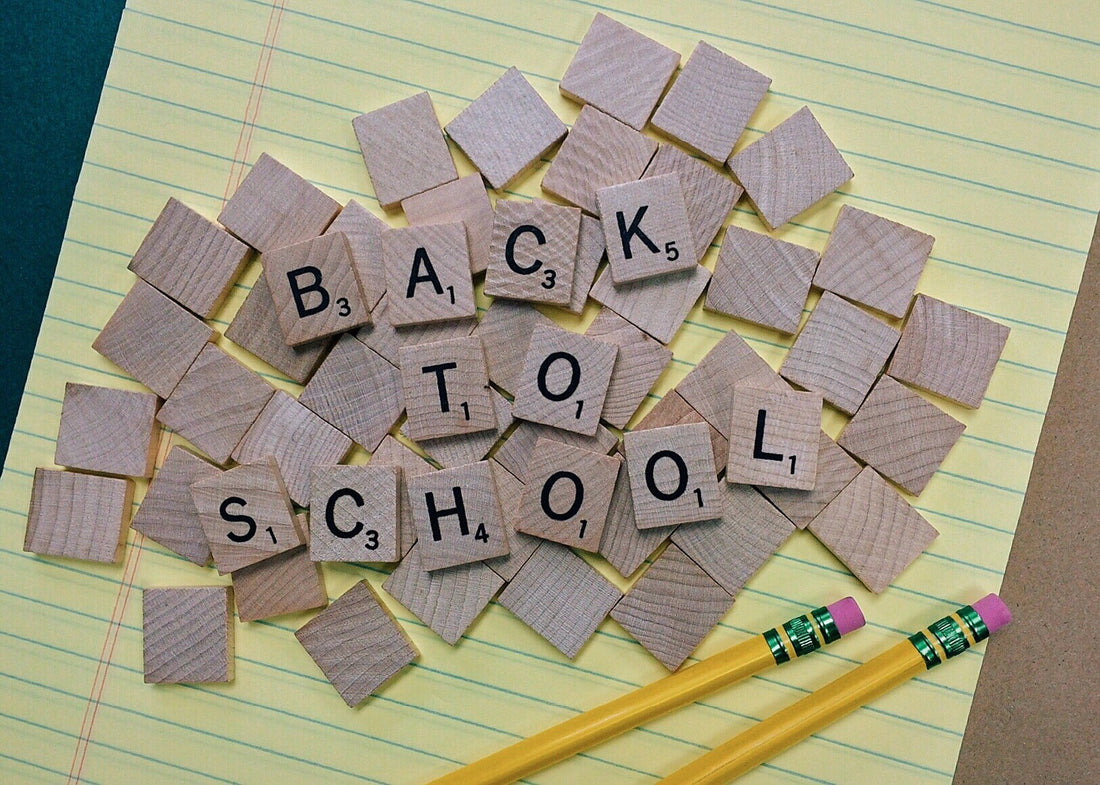 Back to School: Google Slides Digital Interactive Notebooks