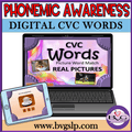Phonemic Awareness CVC Picture Word Match