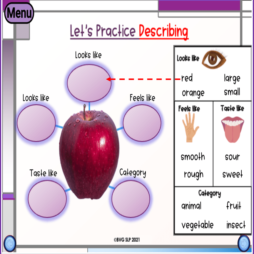 Another Digital Describe and Infer BUNDLE PDF and Boom Cards preview