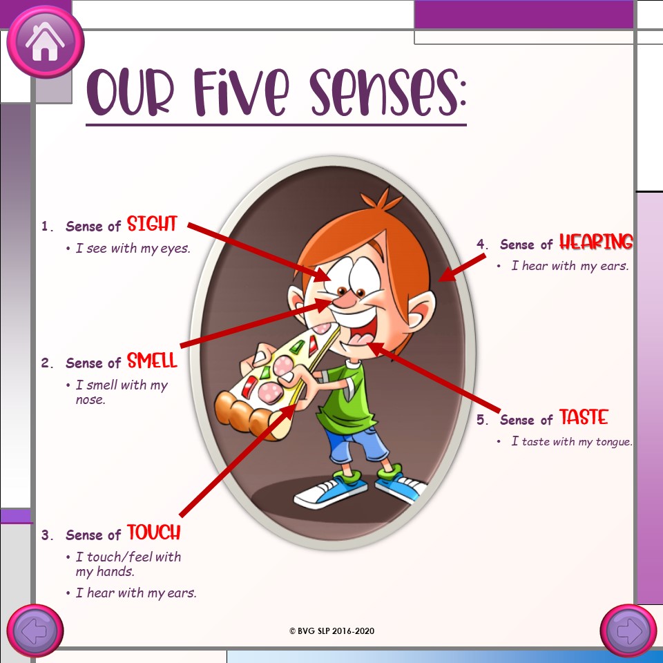 Preview of Digital Describe and Infer BUNDLE PDF and Boom Cards