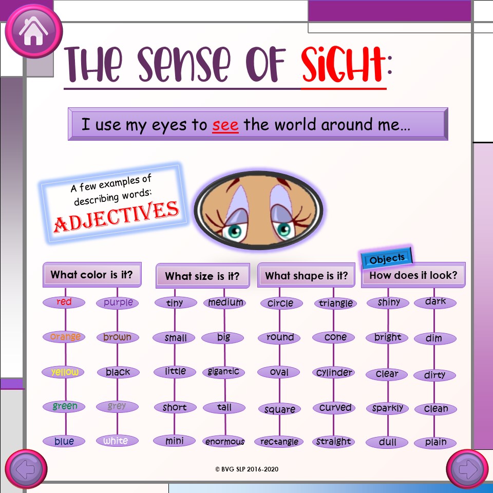 Additional preview of Digital Describe and Infer BUNDLE PDF and Boom Cards